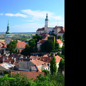 Tapeta mikulov