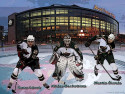 Tapeta Minnesota Wild