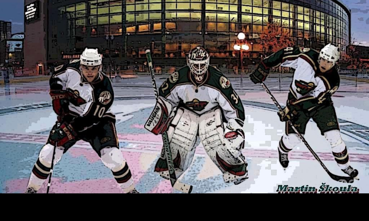 Tapeta minnesota_wild