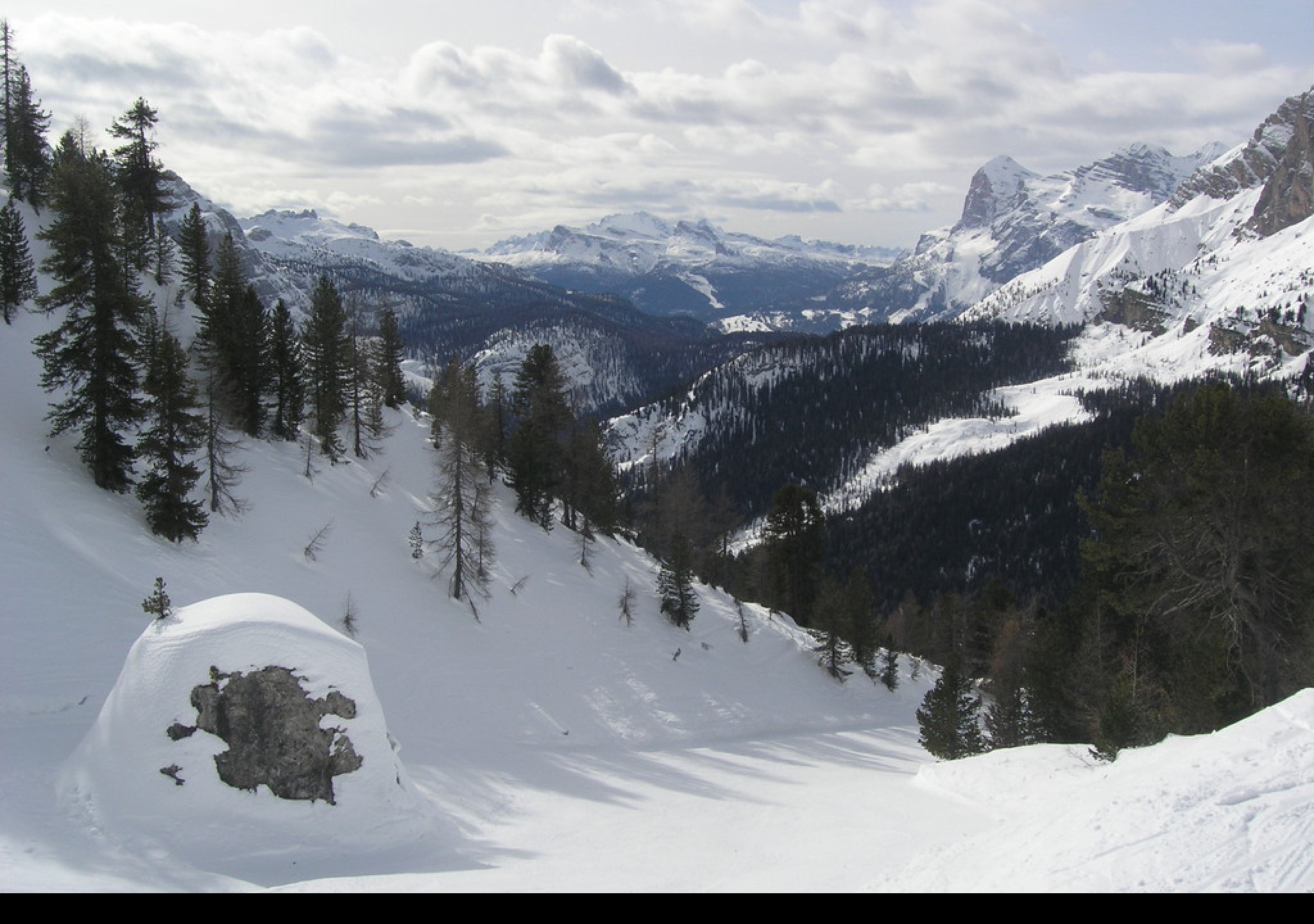 Tapeta misurina