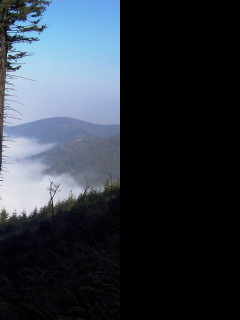 Tapeta mlha_v_horach