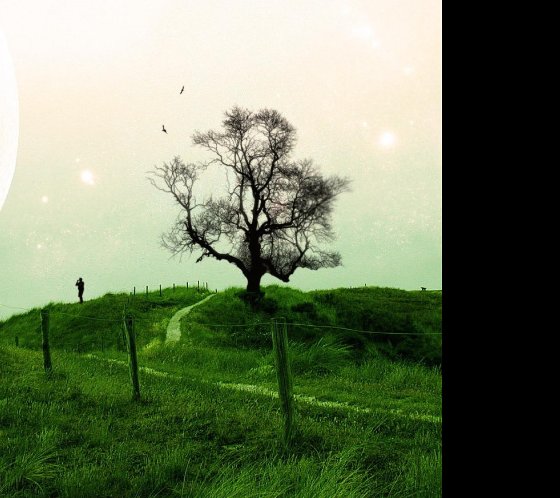 Tapeta moons