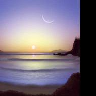 Tapeta morning