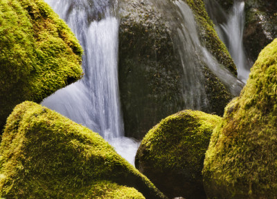 Tapeta: Mount Rainier