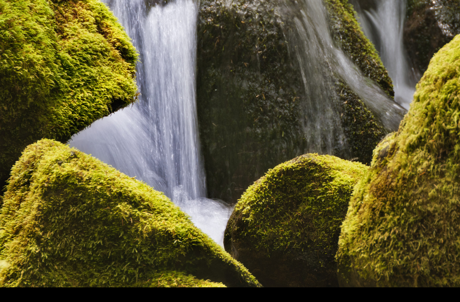 Tapeta mount_rainier