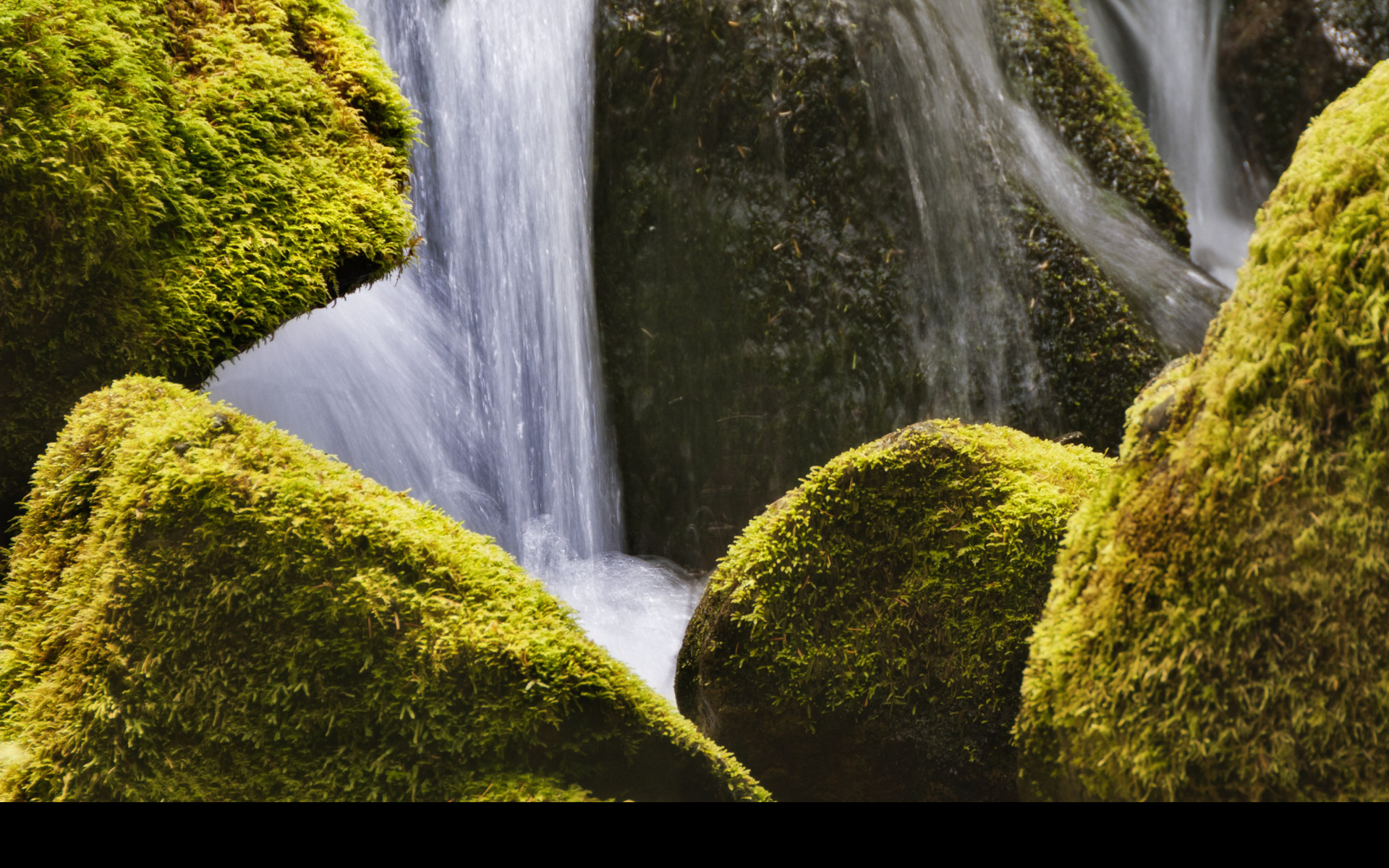 Tapeta mount_rainier