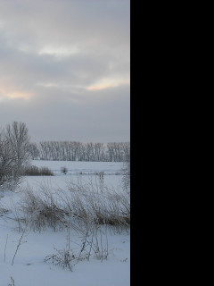 Tapeta mrazive_rano_04