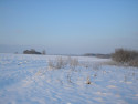 Tapeta Mraziv rno 24