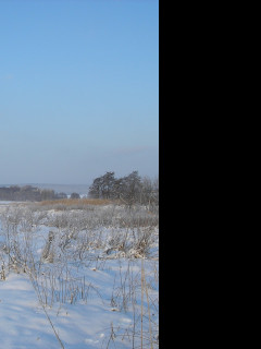 Tapeta mrazive_rano_31