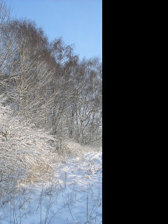 Tapeta mrazive_rano_51
