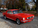 Tapeta MUSTANG 1966