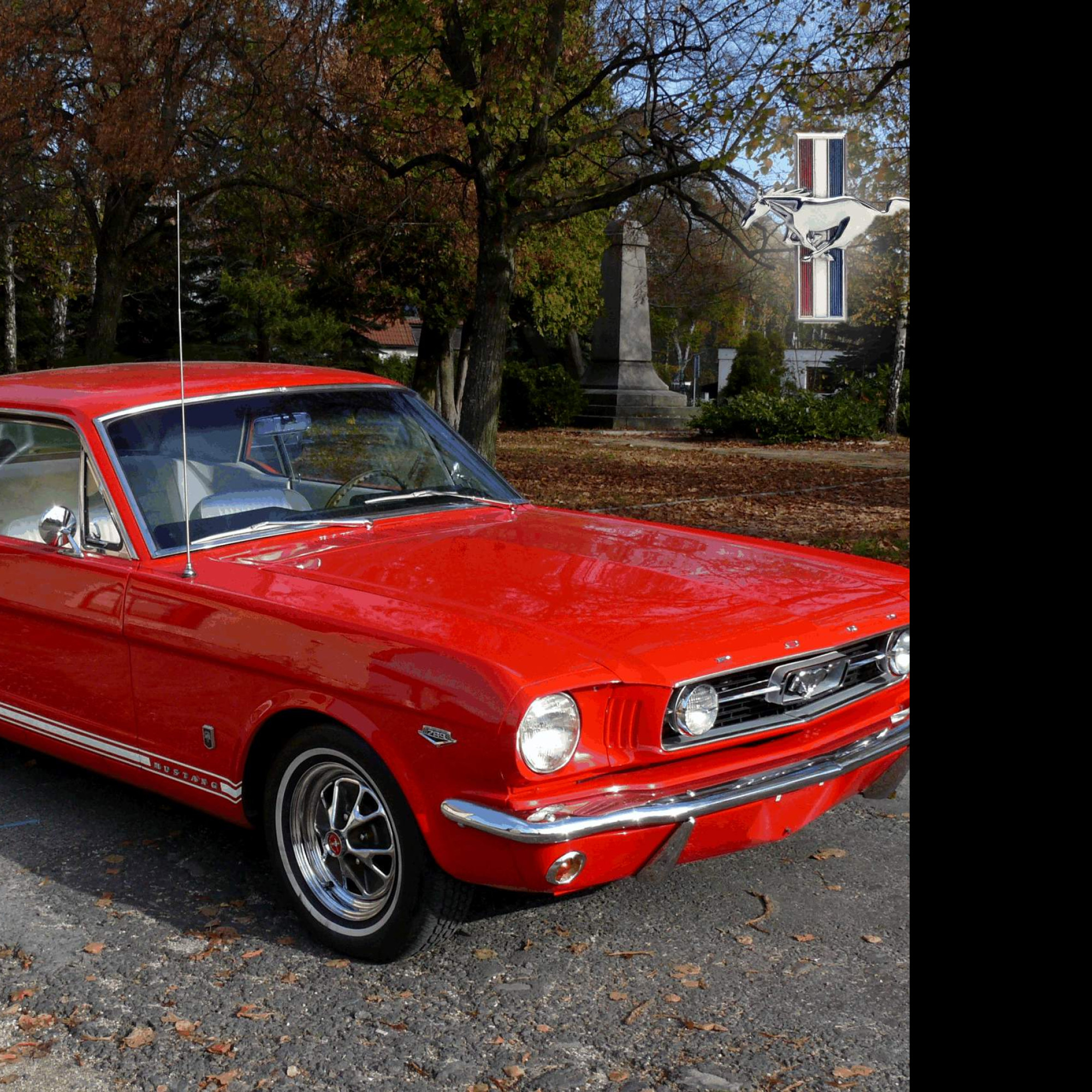 Tapeta mustang_1966