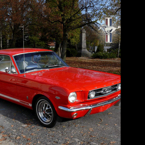 Tapeta mustang_1966