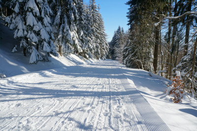 Tapeta: Na bkch v Krkonoch