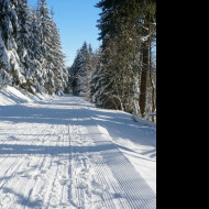 Tapeta na_bezkach_v_krkonosich