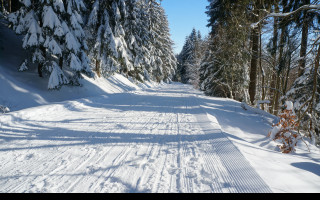 Tapeta na_bezkach_v_krkonosich