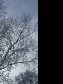 Tapeta namraza_nad_radimeri_01