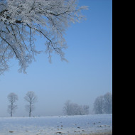 Tapeta namraza_nad_radimeri_02