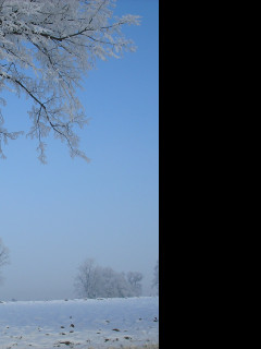 Tapeta namraza_nad_radimeri_02