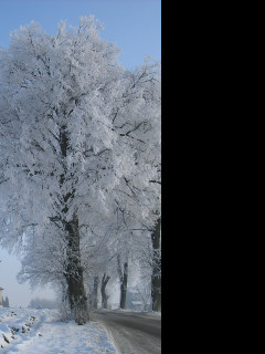 Tapeta namraza_nad_radimeri_07