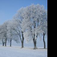 Tapeta namraza_nad_radimeri_16