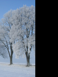 Tapeta namraza_nad_radimeri_16