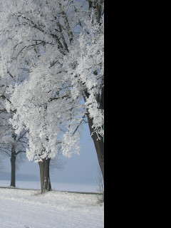 Tapeta namraza_nad_radimeri_20