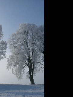 Tapeta namraza_nad_radimeri_27