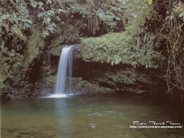 Tapeta narodni_park_braulio_carrillo