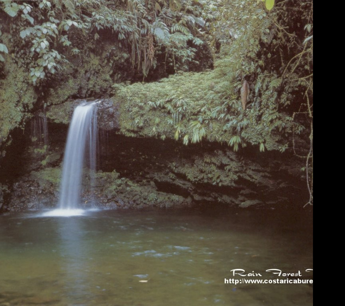 Tapeta narodni_park_braulio_carrillo