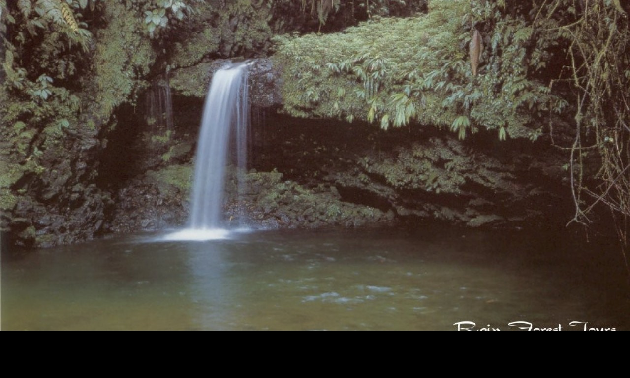 Tapeta narodni_park_braulio_carrillo