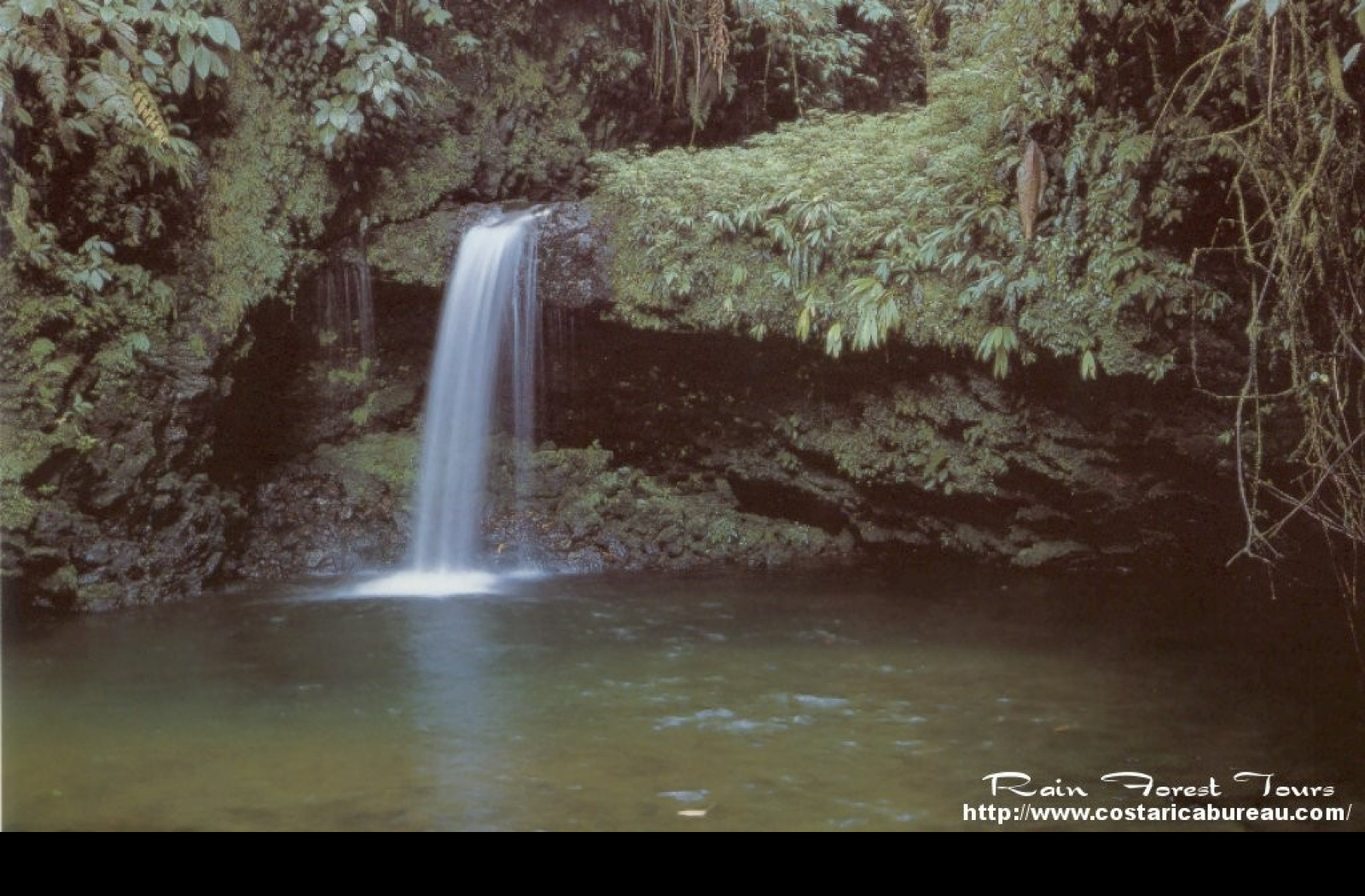 Tapeta narodni_park_braulio_carrillo