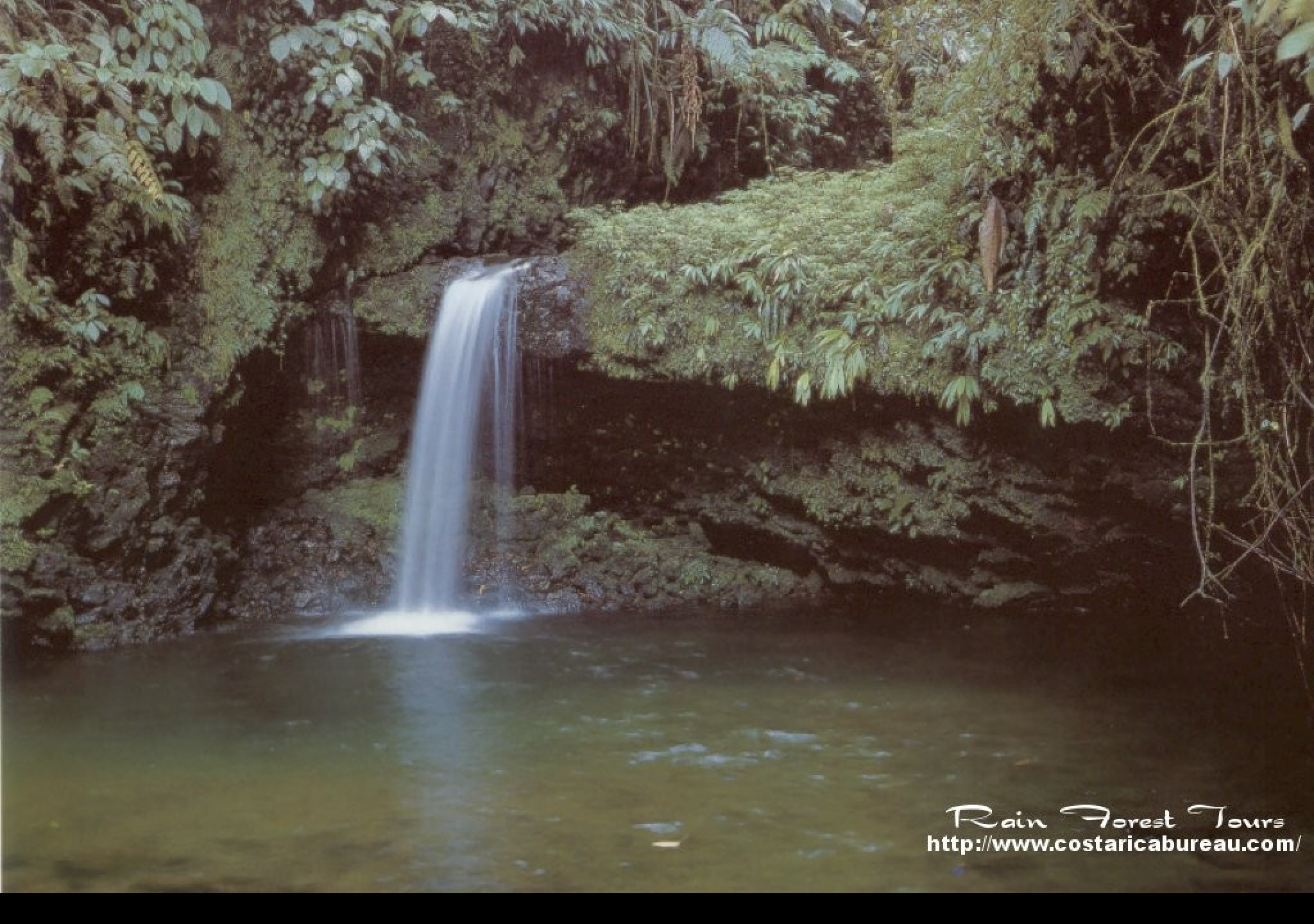 Tapeta narodni_park_braulio_carrillo