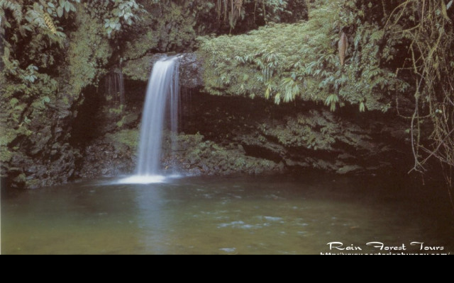 Tapeta narodni_park_braulio_carrillo