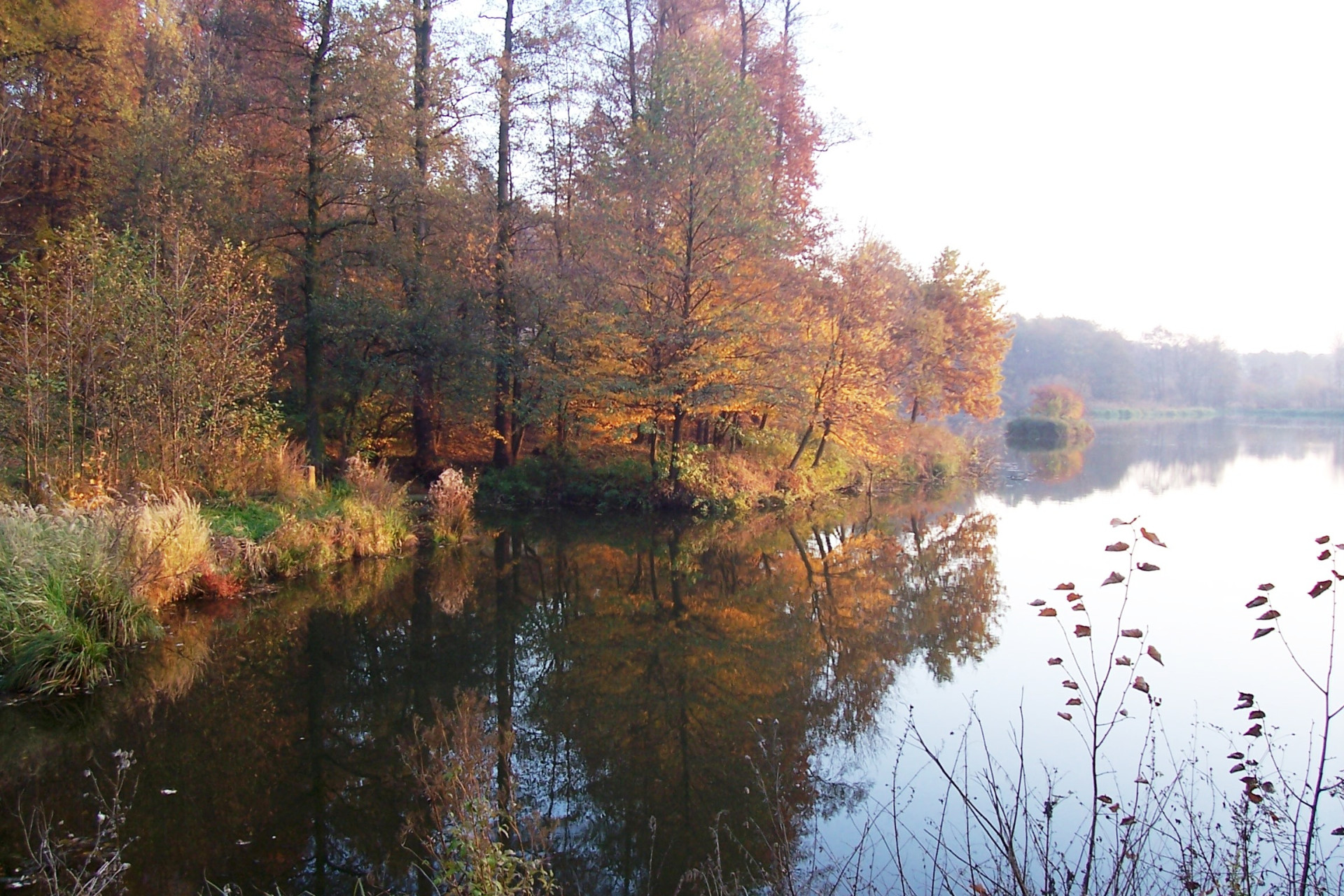 Tapeta nas_rybnik