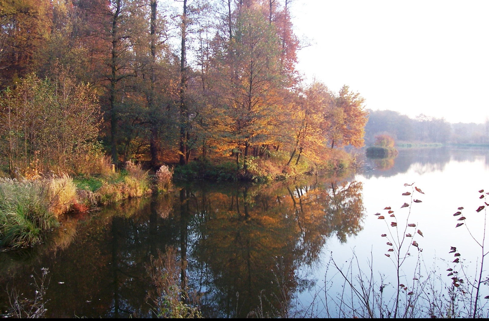 Tapeta nas_rybnik