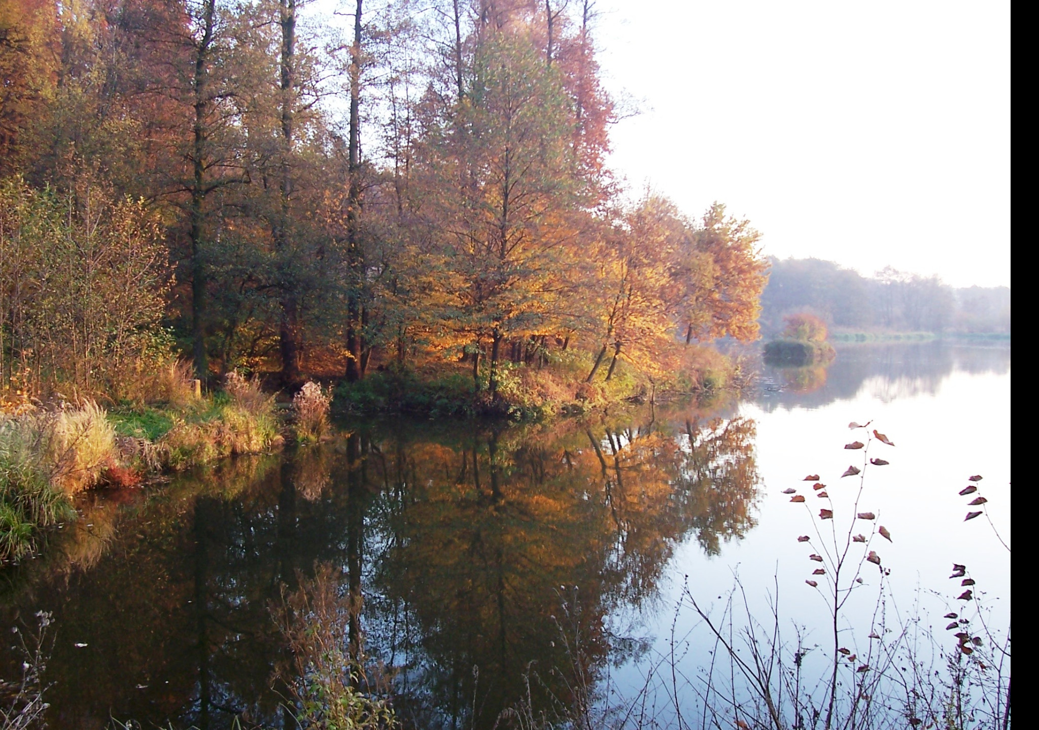 Tapeta nas_rybnik