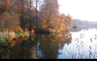 Tapeta nas_rybnik