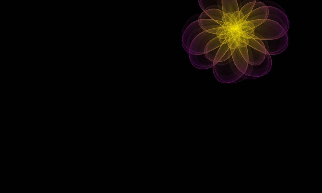 Tapeta navy_flower