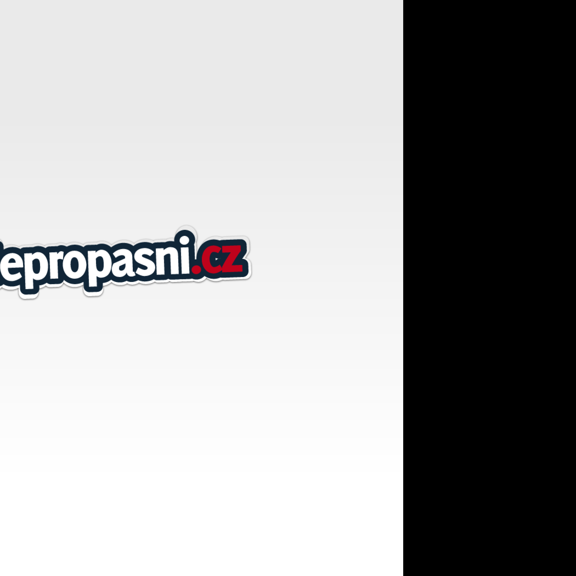 Tapeta nepropasni_cz___logo