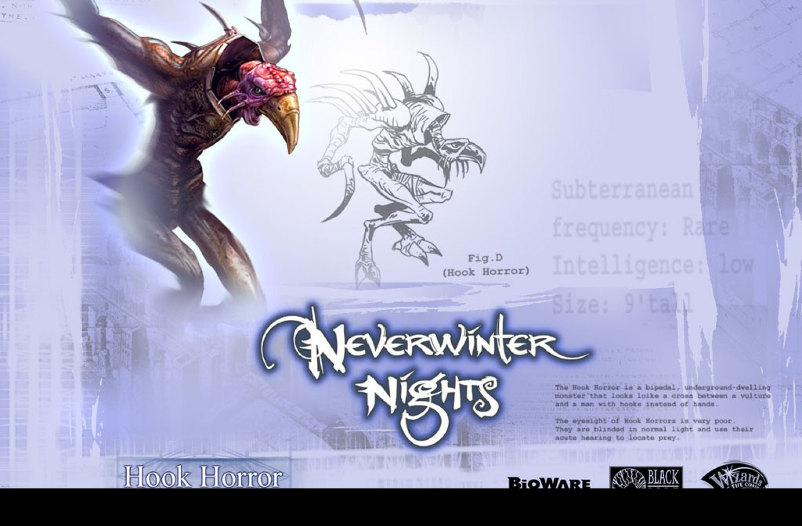 Tapeta neverwinternigths13