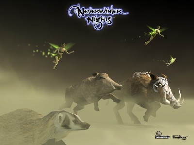 Tapeta: Neverwinter Nigths 2