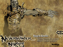 Tapeta Neverwinter Nigths 20