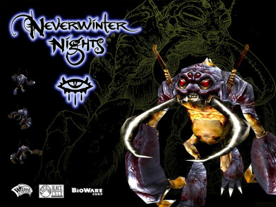 Tapeta: Neverwinter Nigths 26