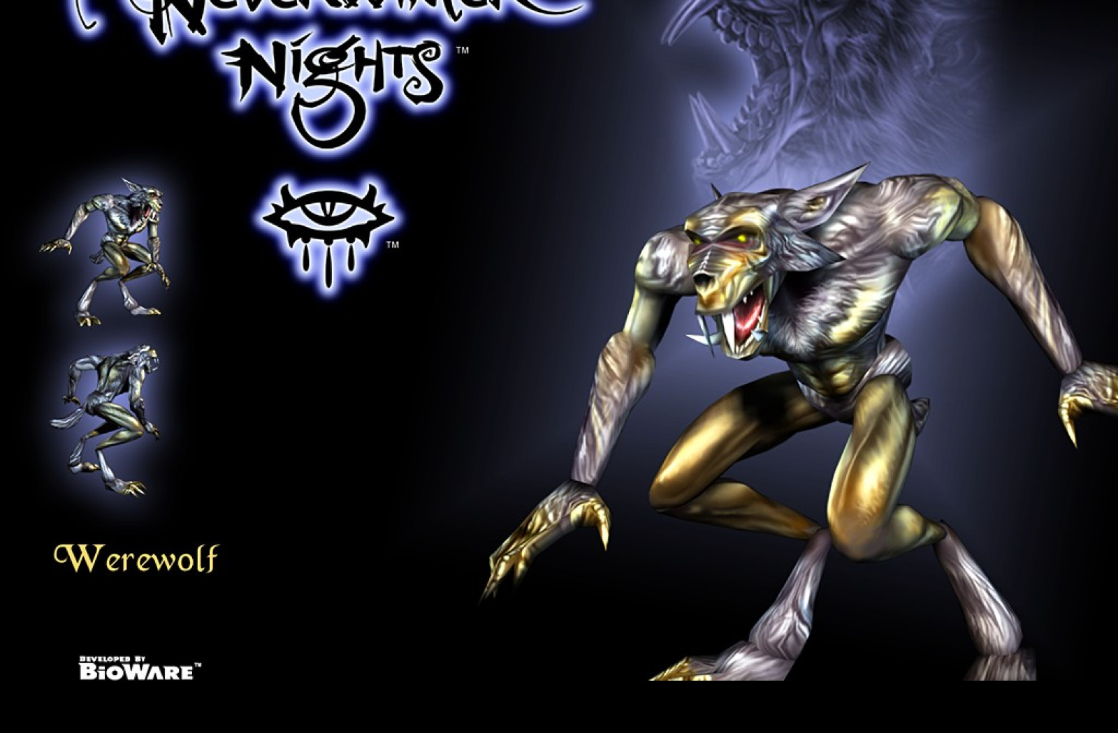 Tapeta neverwinternigths30