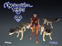 Tapeta Neverwinter Nigths 32