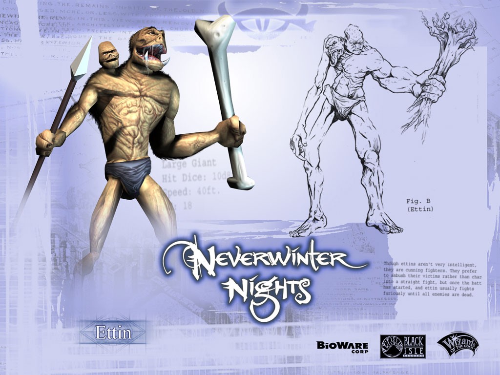 Tapeta neverwinternigths9