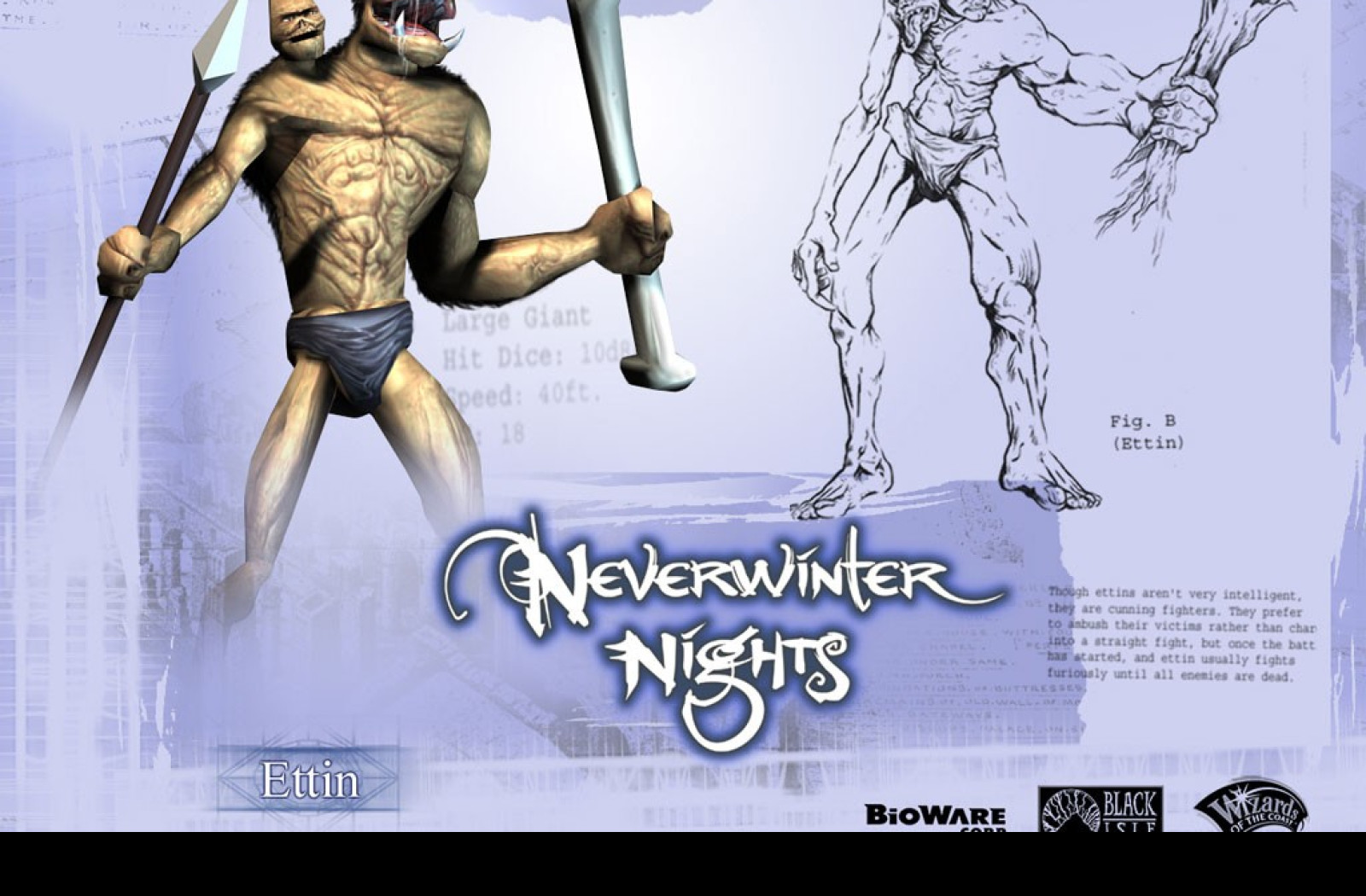 Tapeta neverwinternigths9