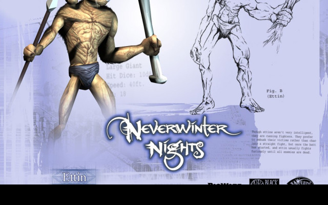 Tapeta neverwinternigths9