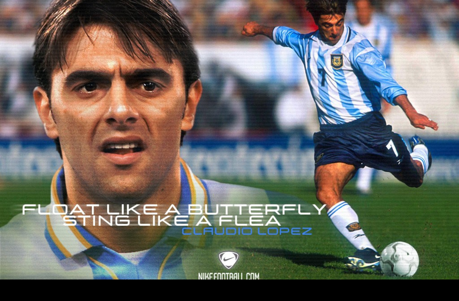 Tapeta nikelopez